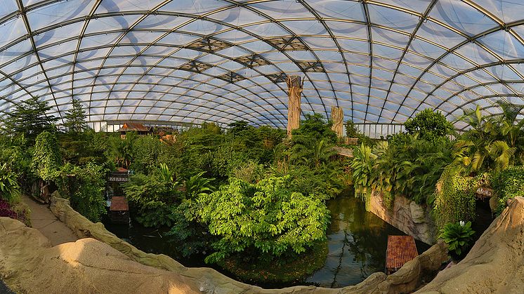 Blick in die Tropenerlebniswelt Gondwanaland im Zoo Leipzig - Foto: Zoo Leipzig