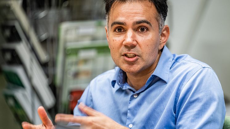 Neil Lagali