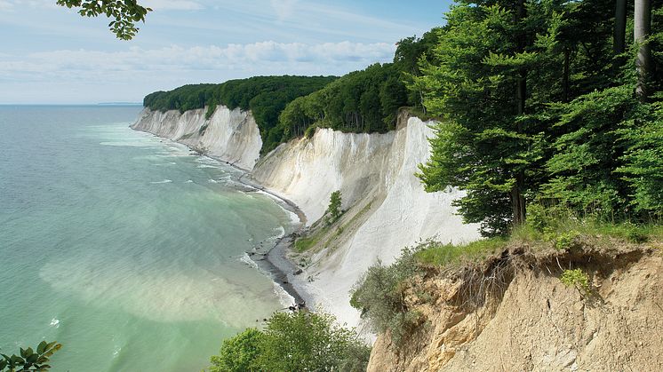 Bedste naturoplevelser: Øen Rügen ©Nationalpark-Zentrum Königsstuhl Sassnitz GmbH/ Peter Lehmann