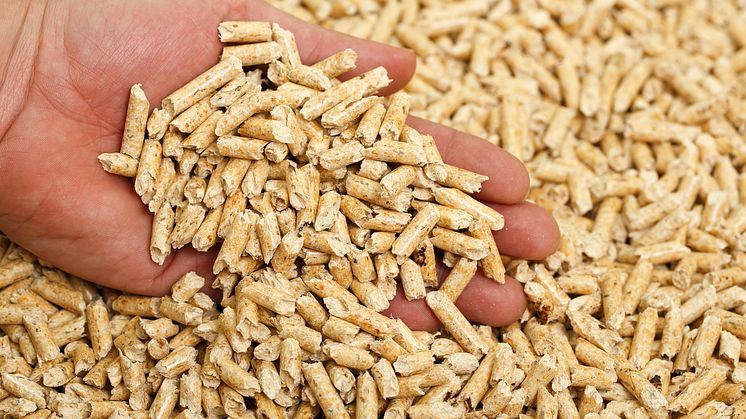 Wer jetzt seine Heizung austauscht und danach auf erneuerbare Energie wie Holzpellets setzt, erfüllt auch gleich das baden-württembergische EWärmeG (Erneuerbare-Wärme-Gesetz).