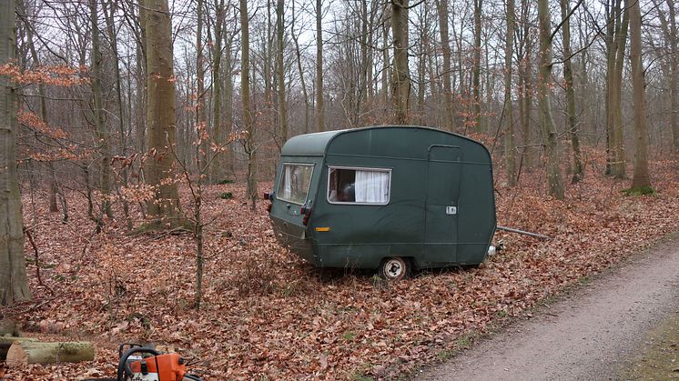 Camping i skoven