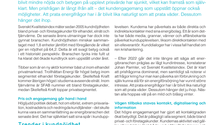 SKI Energi 2022.pdf