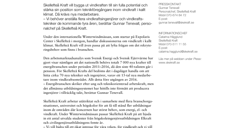 Skellefteå Kraft vill anställa ett 15-tal vindkraftsexperter inom fyra år  