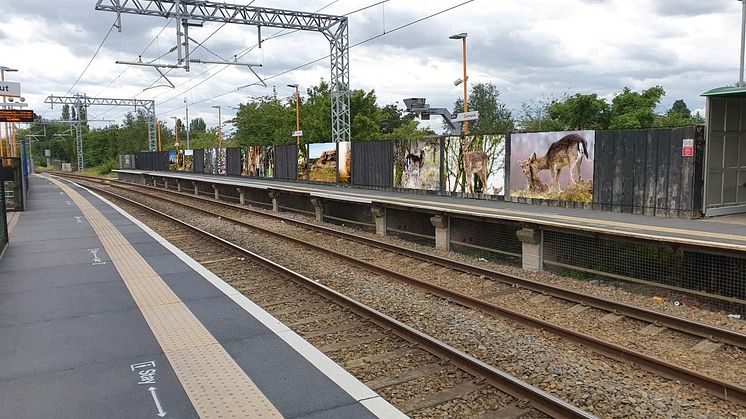 How the murals at Cannock station will look
