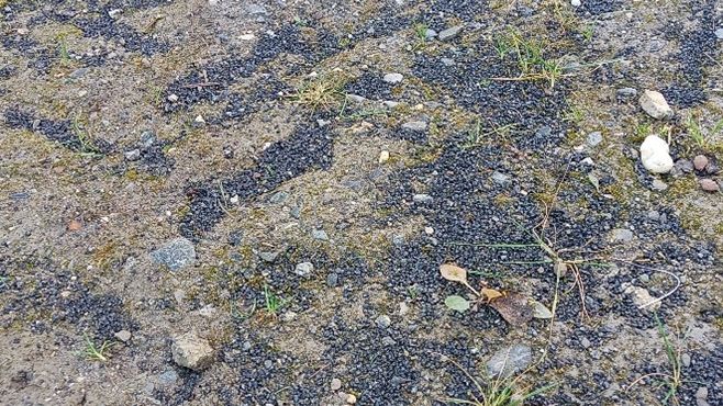 Figure 1 rubber on field
