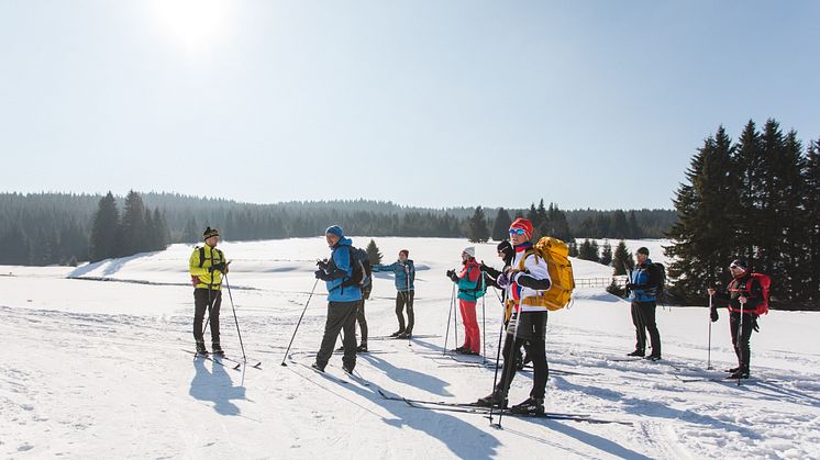 Stoneman Miriquidi on snow  (TVE /Studio2Media) 
