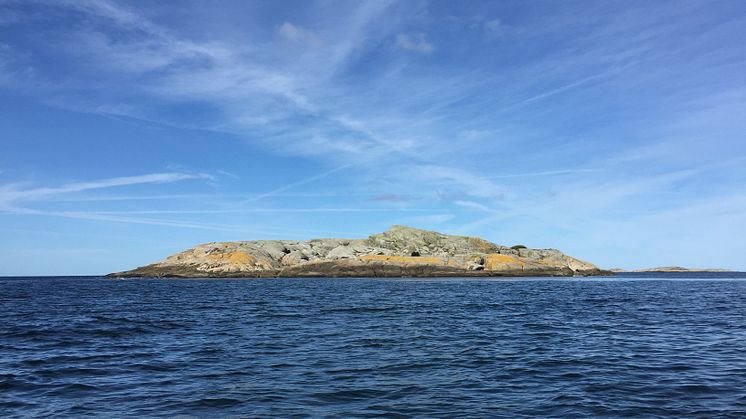 Marstrands skärgård 3