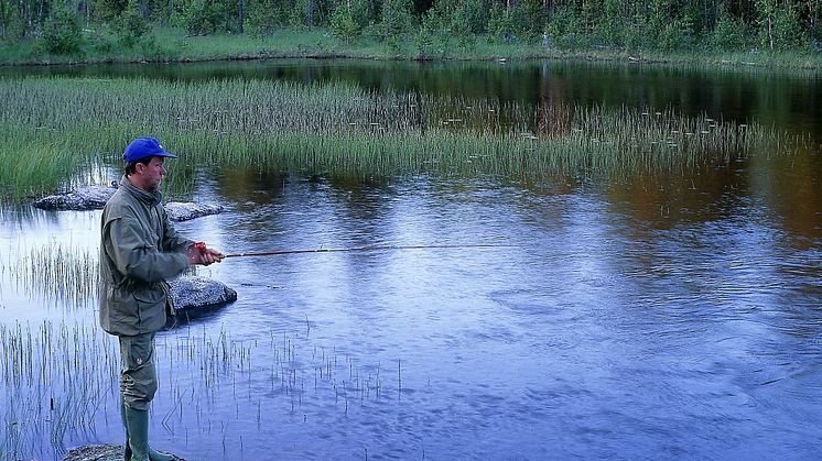  Fritidsfiske efter harr. Foto: Alf Linderheim / Naturfotograferna /IBL Bildbyrå