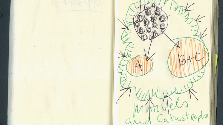 Marvels & Catastrophes sketch book