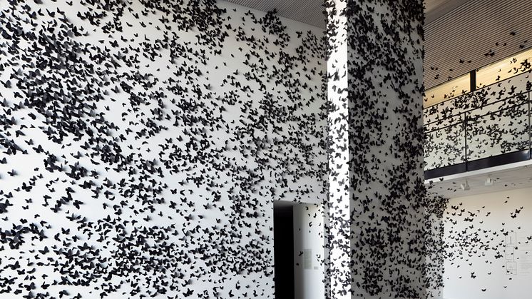 Carlos Amorales, Svarta moln / Black Cloud, AnimalKingdom