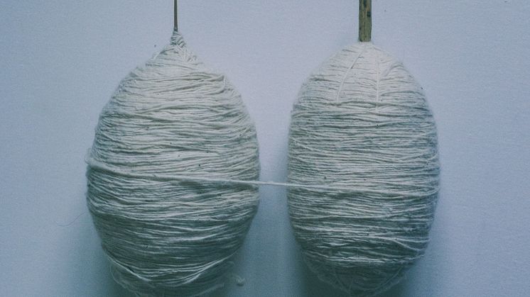 Cotton and Cotton, 2018 