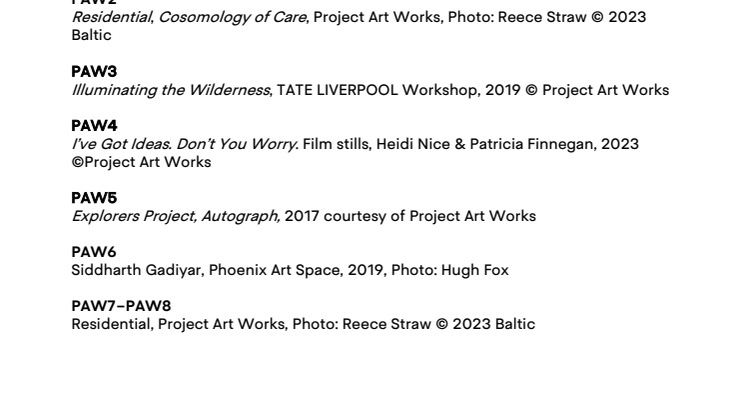 Project Art Works – Captions.pdf