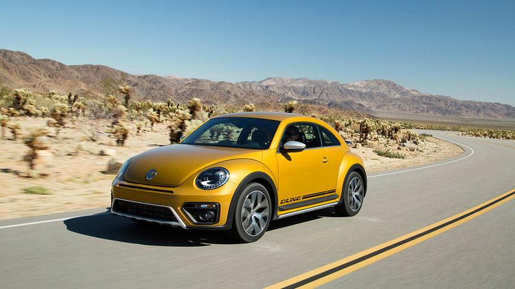 Beetle Dune