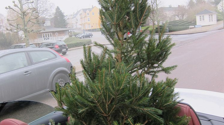 308 CC med juletræ