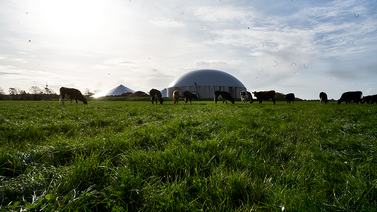 Stor interesse for Arlas første grønne obligationer