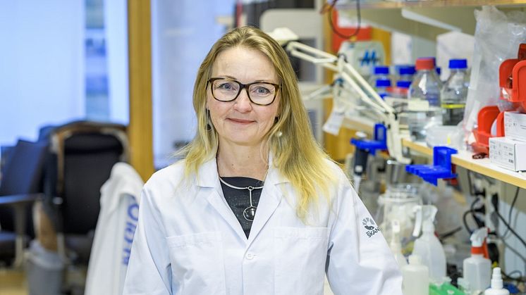 Innovationsanslag från ERC till diabetesforskning. Foto: Kennet Ruona