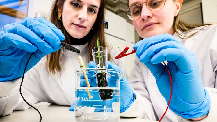 Eleni Stavrinidou, biträdande professor och Alexandra Sandéhn, doktorand, kopplar den elektroniska "jorden" till en kraftkälla med låg spänning. Foto: Thor Balkhed