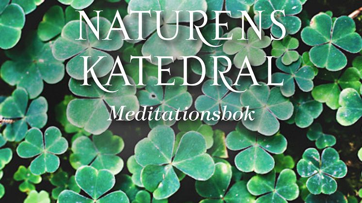 Ny bok med 50 naturmeditationer