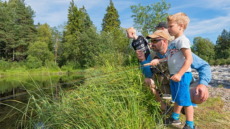 - Museumssommeren blir full av aktiviteter og opplevelser, forsikrer Stein Tore Andersen ved Anno Norsk skogmuseum. (Foto: Bård Løken)