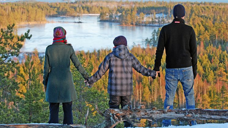 Svensk Sjöfarts verksamhetsberättelse "Sjöfartsåret 2017" har publicerats