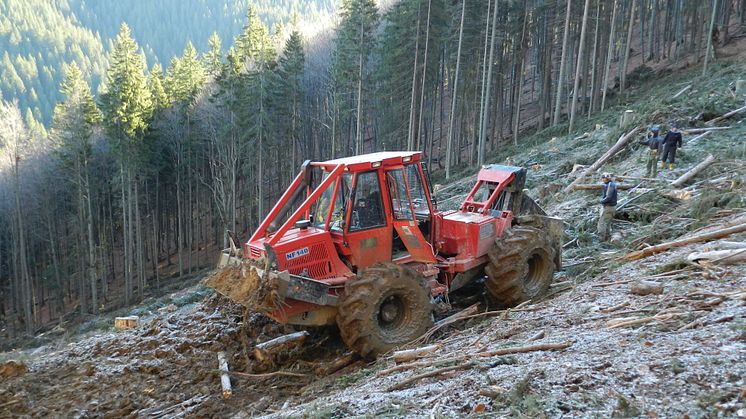 Framtidsland för skogsbruk