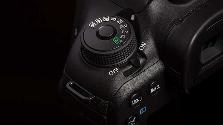EOS 7D MII Ambient Macro 6