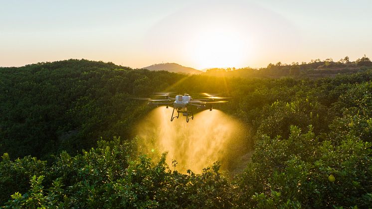 DJI T25-1.jpg