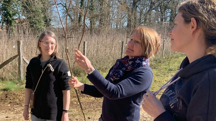 Erfolgreiche Pflegemaßnahmen bei Schul-Uni-Wald-Aktion in Lohne