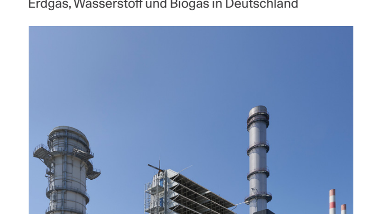 faktenblatt-gasbilanz-2024.pdf