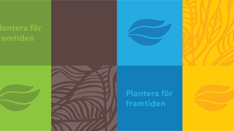 SplendorPlant-profil.png