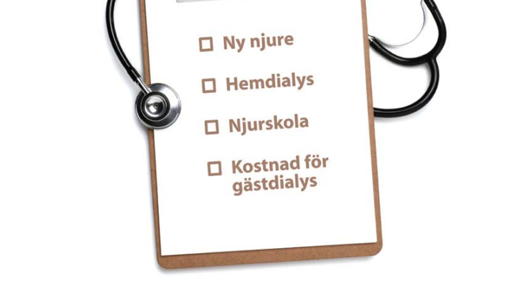 Njursjukvårdsindex