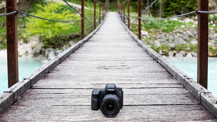 EOS 6D Mark II Ambient 01