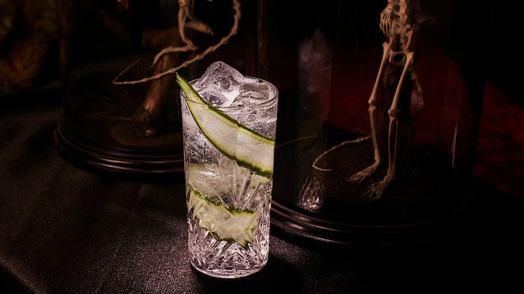 Förläng känslan av kortvecka: Så firar du Gin & Tonic-dagen nu på måndag