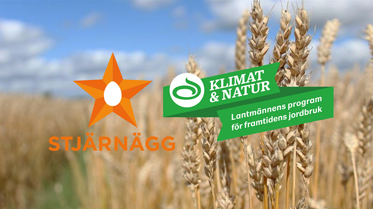 Stjärnägg ansluter sig till Klimat & Natur – Lantmännens program för framtidens jordbruk