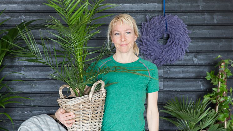 EKSOTISK STEMNING: Gartner Kari Brekke anbefaler palmer på terrassen i sommer. 