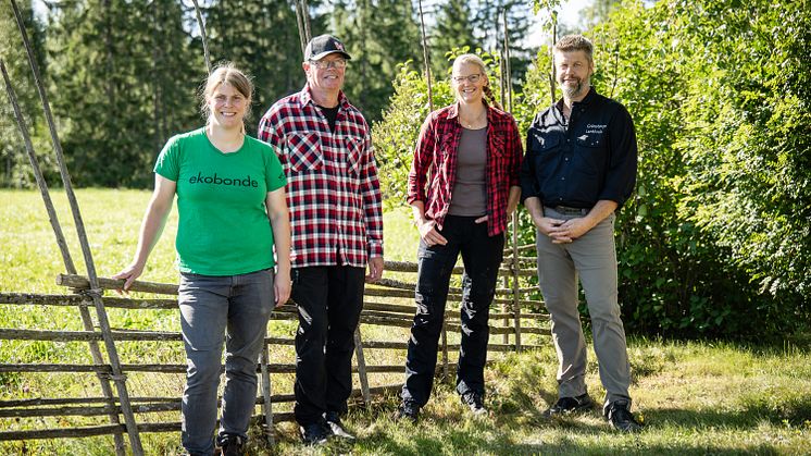 Lokala ekobönder engagerar sig i kampanjen Eko-september i Gävleborgs län. Från vänster i bild: Viola Sverkersdotter, Stefan Sundvall, Sofia & Jerker Sundberg