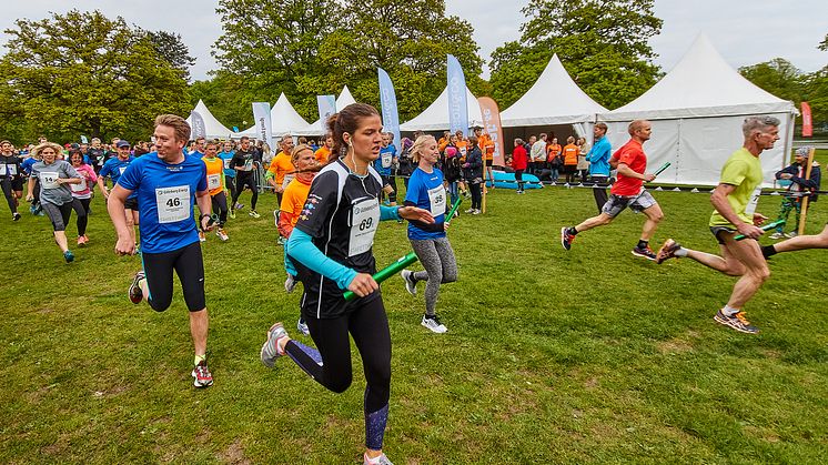 HiQ huvudpartner till Stafettvarvet