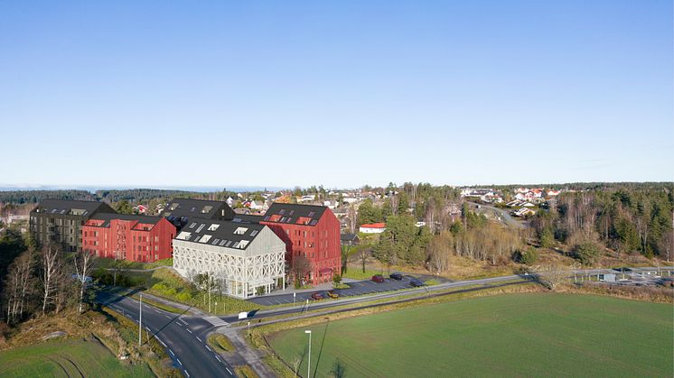Folkestadveien illustrasjoner_ Studio Eik (2).jpg