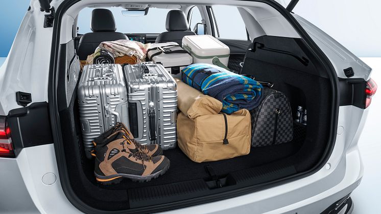 Trunk&Props-1.jpg