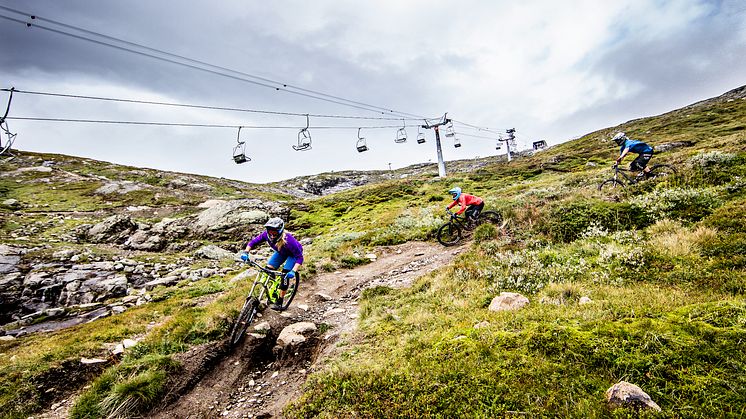 Åre Bike Park