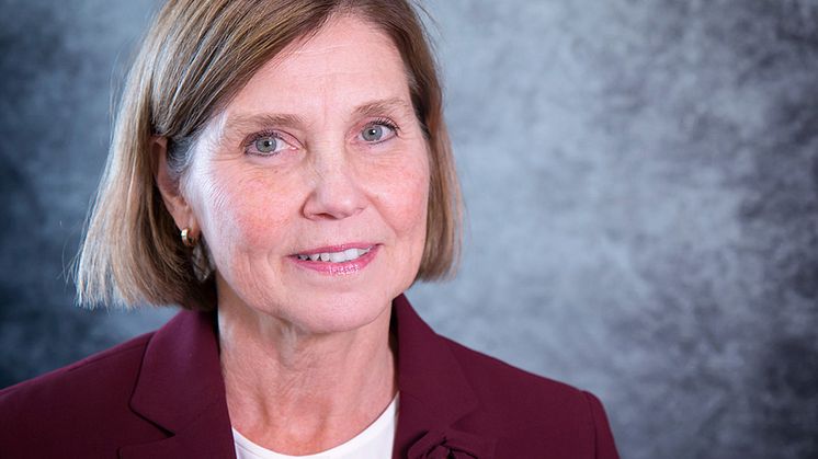 Lilian Eriksson blir VD för Ängelholmslokaler
