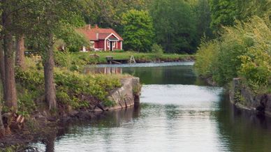 1,3 miljoner till att skydda flodkräftan