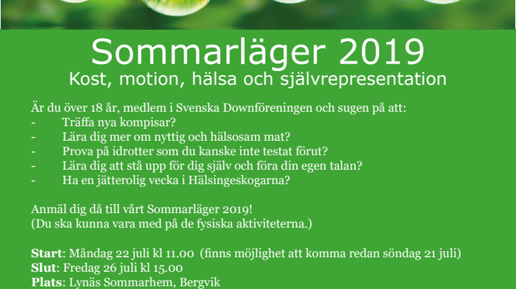 Sommarläger 2019