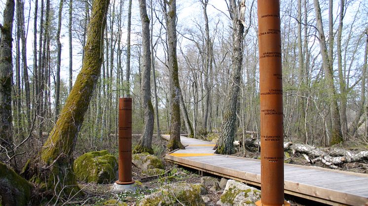 Cortenrör i varierande storlekar Strandskogen Arninge-Ullna