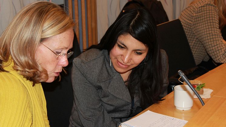 Mentor och adept par 2011