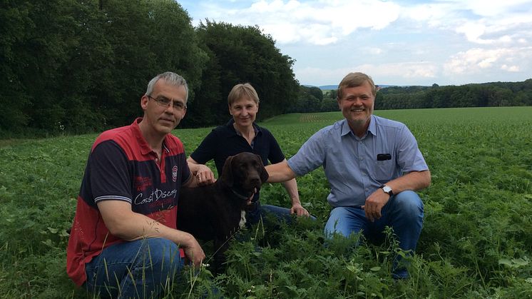 Blühmischung schon gut angewachsen: Detlef (l.) und Petra Grundmann mit Hund Paul aus Herford sowie Norbert Darnauer  Asset Manager bei Energieservice Westfalen Weser freuen sich auf einen bunten Blühstreifen. 