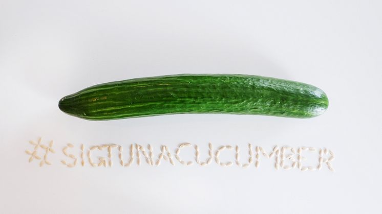 Vem kan odla Sveriges största gurka?