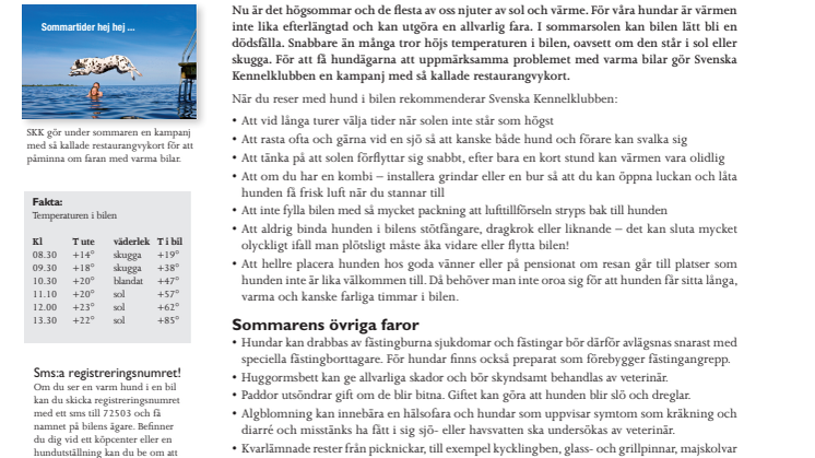 Sommaren en farlig tid för hunden