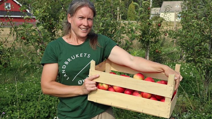 #Inspirasjonsbonde Astrid Bjørnson selger alt hun kan produsere av økologisk frukt og bær. Foto: Økologisk Norge/Marte Guttulsrød