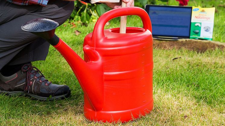 Bestell-Set_Nuetzlinge_fuer_Bodenschaedlinge_0003